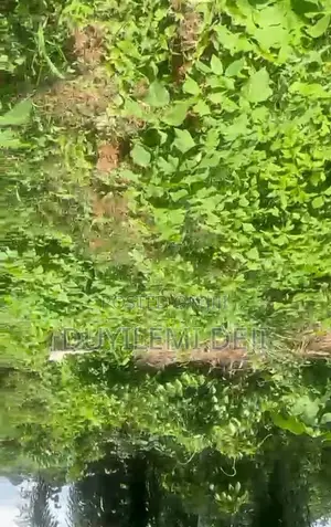 A Plot Of Land For Sale