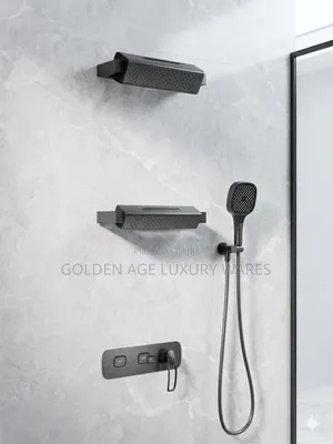 Dual Shower Head Thermostatic Conduit Shower