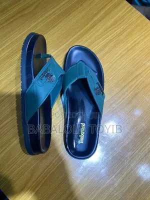 Timberland Slide Good for Native