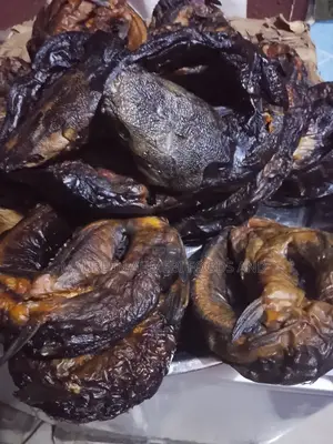 Catfish Dehydrated