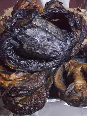 Catfish Dehydrated