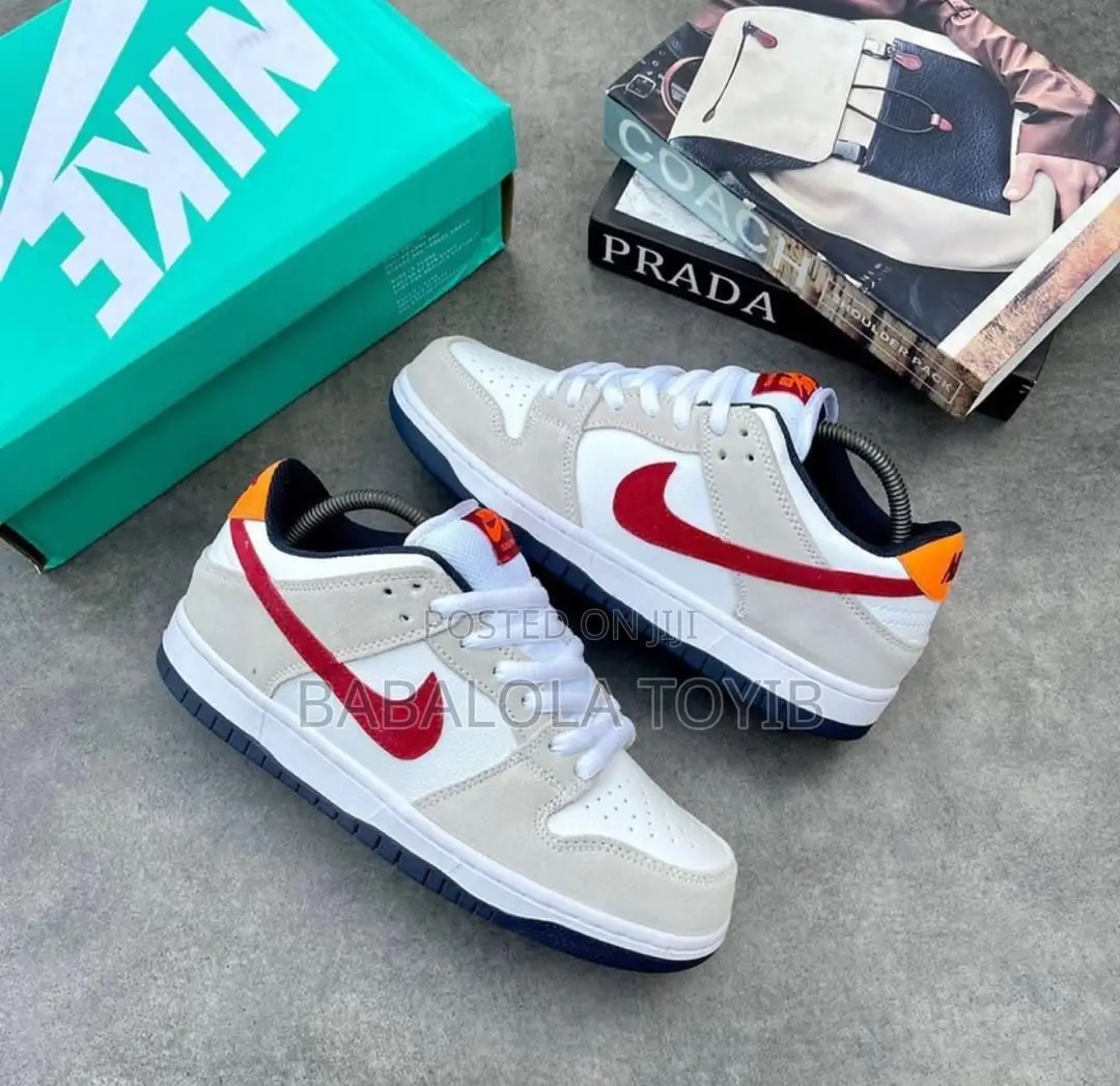 Nike Sb Shoes