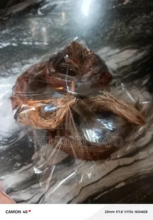 D. Izy Fish