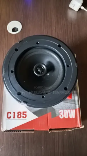 Passive Ceiling/Pop Speaker