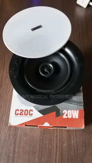 Passive Ceiling/Pop Speaker