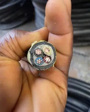 4x10mm Coleman Electric Armoured Cable