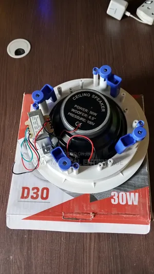 Passive Ceiling/Pop Speaker