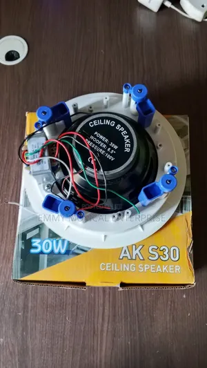 Passive Ceiling/Pop Speaker
