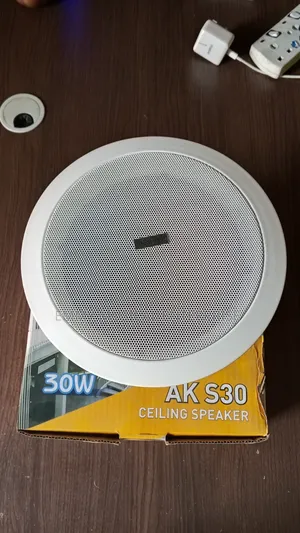 Passive Ceiling/Pop Speaker