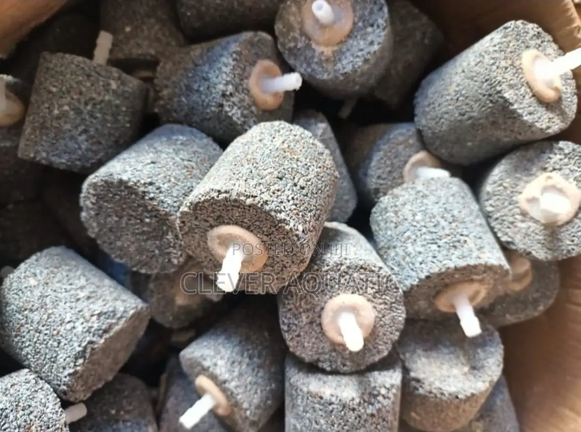 As003 Air Stone