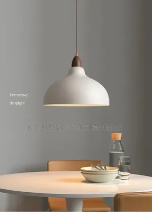 New Modern Balcony Singe Pendant Lights.