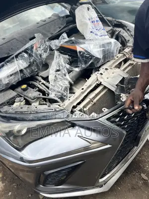 Front Grill Nx 250 2018 Available