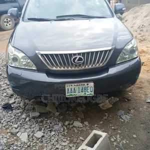 Lexus RX 2008 Gray