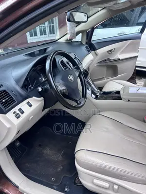 Toyota Venza 2010 Brown