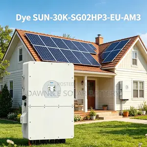 30kw High Voltage Hybrid Inverter | Deye Sun--Sg02hp3-Eu-Am3
