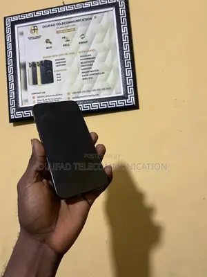 Apple iPhone 15 Pro Max 256 GB Gray