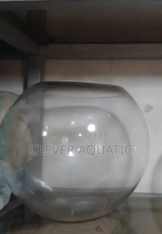 Clear Fish Bowl (Size 40)