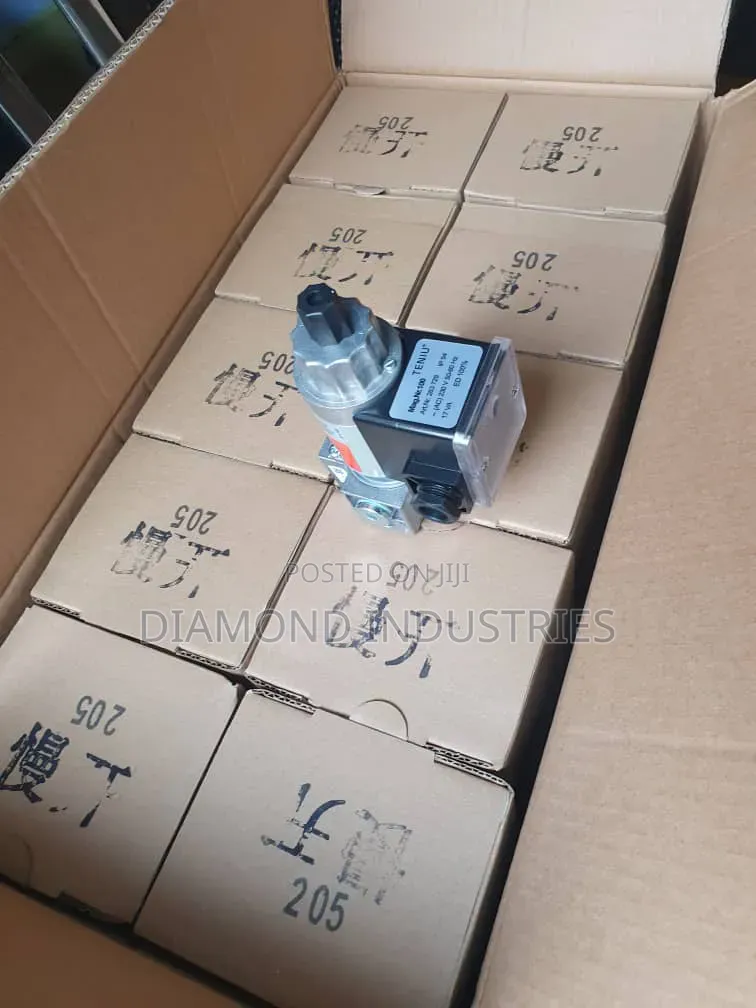 Gas Burner Valve