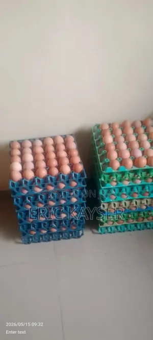 Egg Crate for Deliveries