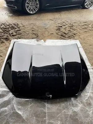 Bonnet/Hood for Gle 450, Gle 53, W167 Model