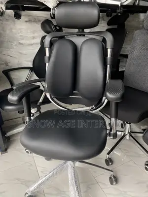 Executive Ergonomic Kidney Chair (With Adjustable 3d Arms)
