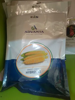 High Breed Seeds