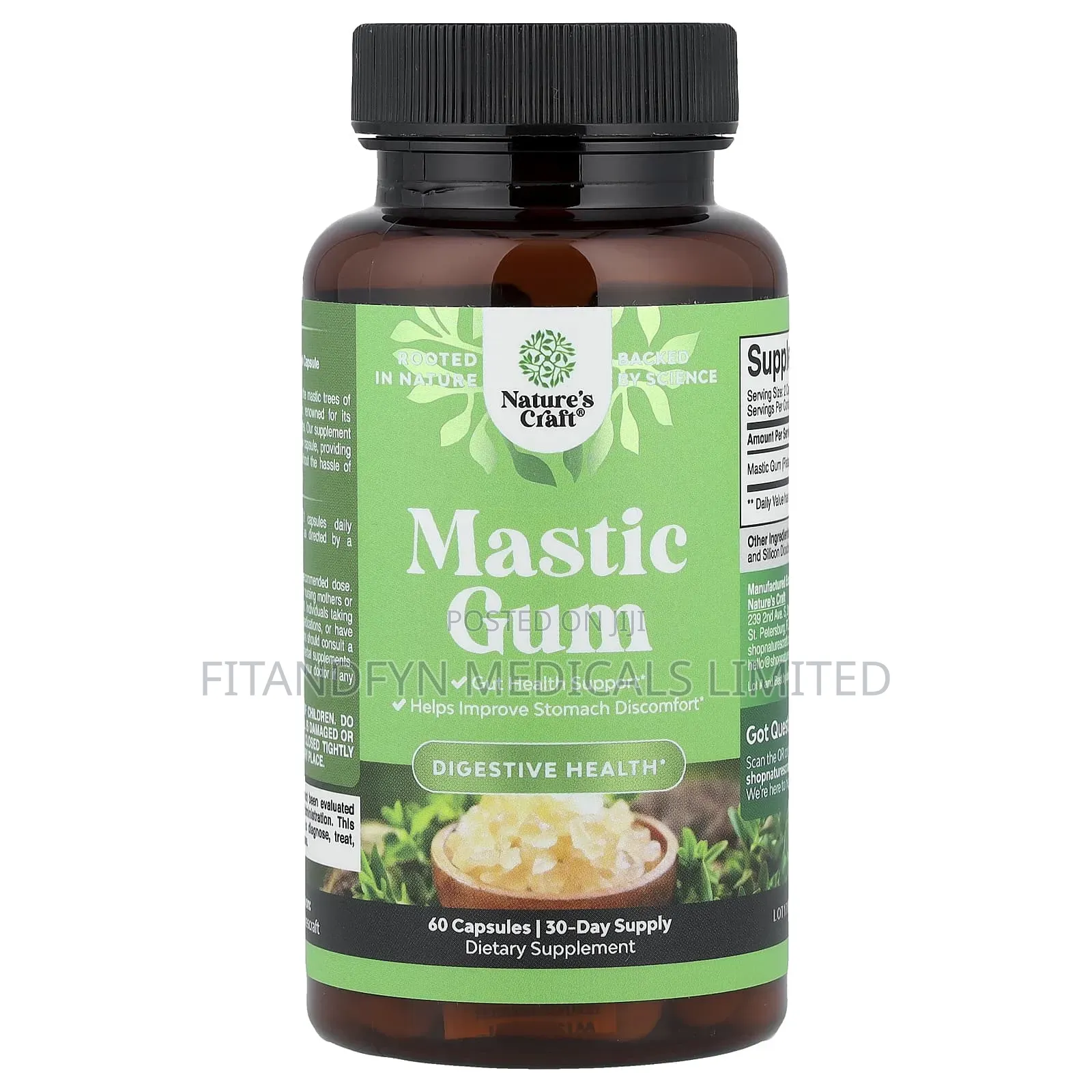 Mastic Gum