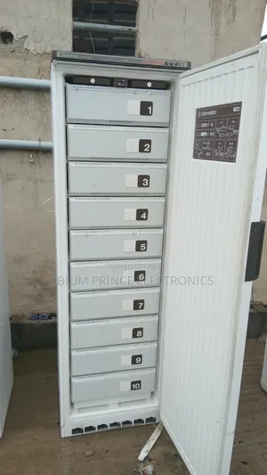 Liebherr Standing Freezer 10 Steps