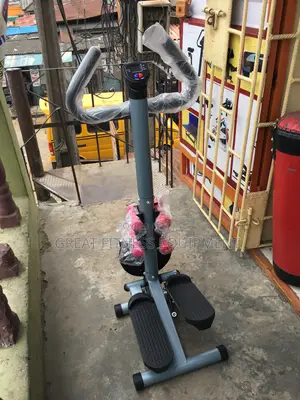 Standing Stepper With Dumbbells and Waist Twister
