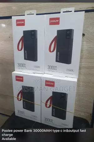 Poolee Powerbank