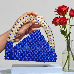 Elegance Beaded Bag