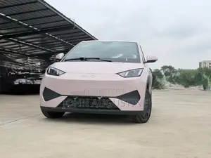 New BYD Seagull 2025 Pink