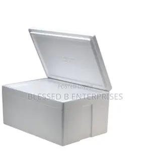 Cheap Styrofoam Box for Sale