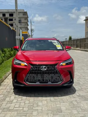 Lexus NX 250 Premium AWD 2025 Red
