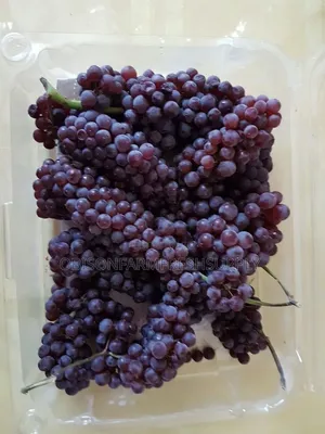 Fresh Grapes