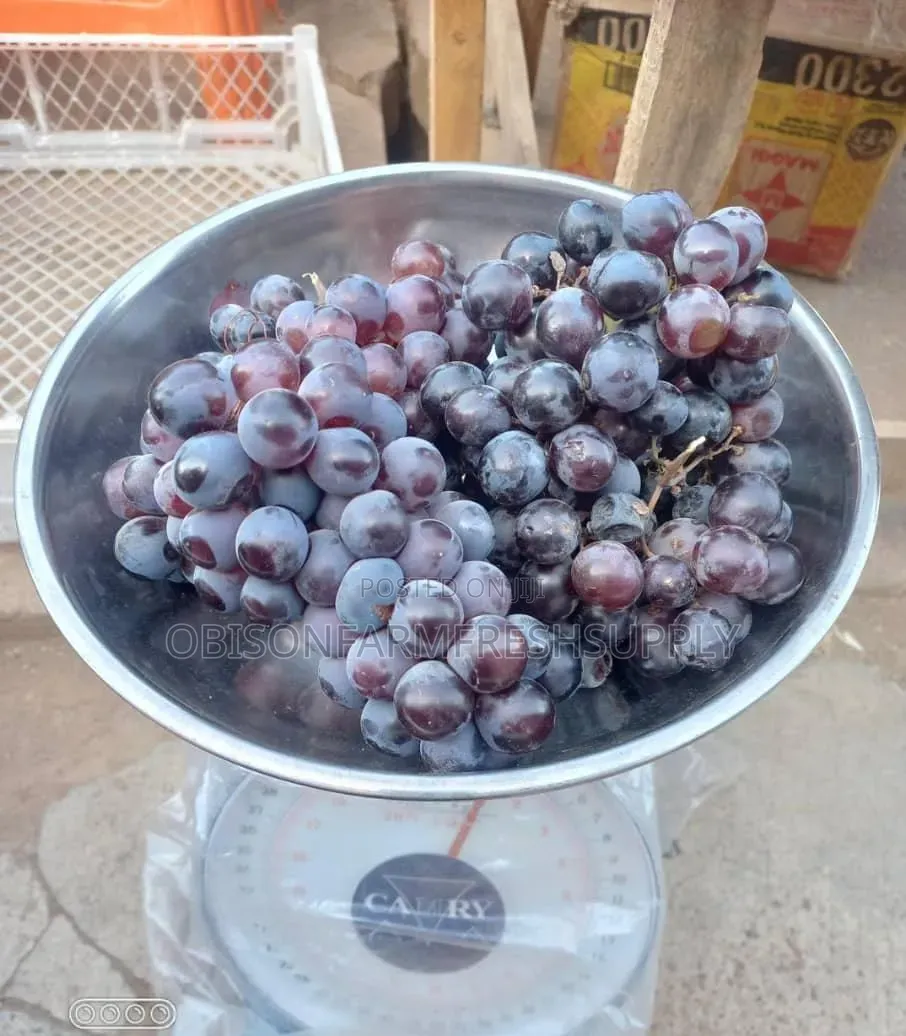 Fresh Grapes