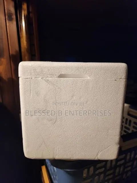 Affordable Cold Storage Box