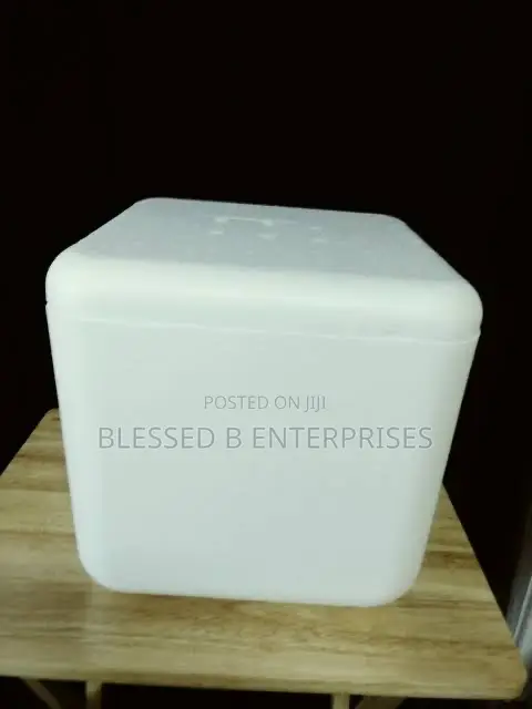 Strong Foam Cooler With Cover
