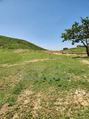 Hectares of Land in Kurudu