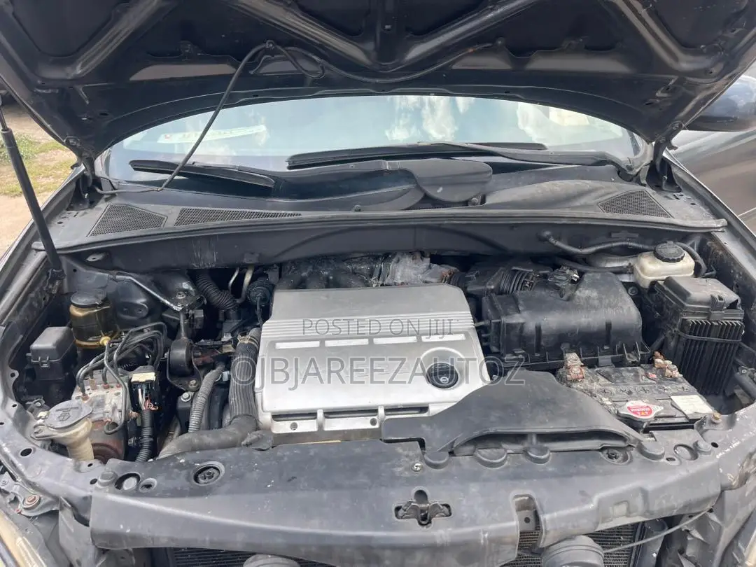 Lexus RX 330 2006 Gray