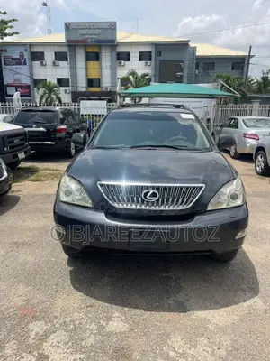 Lexus RX 330 2006 Gray