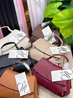 Medium Sized Polene Bag