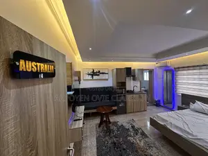 Furnished Studio Apartment in Garki 2 for rent