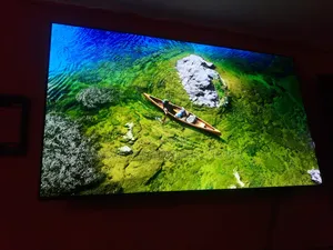 Oled55a26la