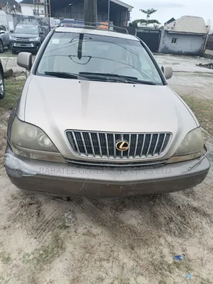 Lexus RX 2002 Gray