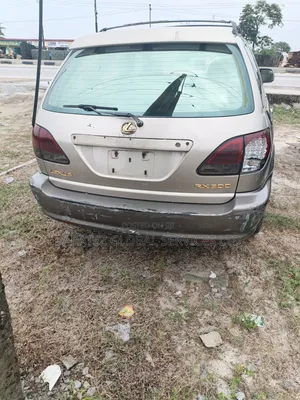 Lexus RX 2002 Gray