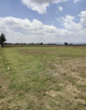 Caraway Dallas Fcda Approved Plot for Sale