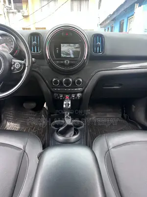 Mini Countryman John Cooper Works AWD ALL4 2018 Gray