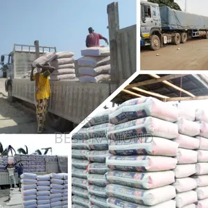 Dangote Cement Major Seller