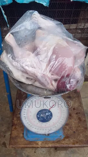 Chicken Meat